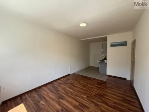 Pronájem bytu 2+kk, Most, Josefa Suka, 40 m2