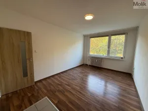 Pronájem bytu 2+kk, Most, Josefa Suka, 40 m2