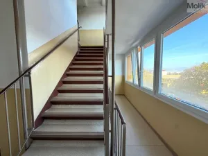 Pronájem bytu 2+kk, Most, Josefa Suka, 40 m2