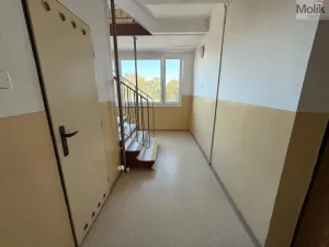 Pronájem bytu 2+kk, Most, Josefa Suka, 40 m2