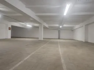 Pronájem skladu, České Budějovice, Rudolfovská tř., 198 m2