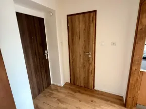 Prodej bytu 1+1, Lom - Loučná, Novostavby, 28 m2