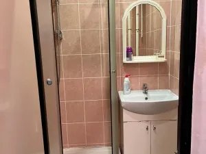 Prodej bytu 2+1, Bílina - Teplické Předměstí, M. Švabinského, 53 m2