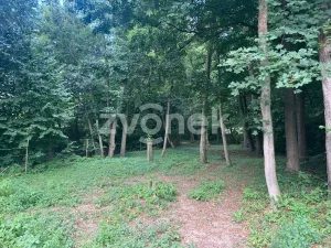 Prodej pozemku pro bydlení, Halenkovice, 1620 m2
