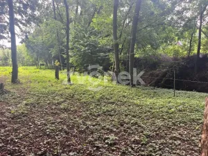 Prodej lesa, Halenkovice, 1620 m2