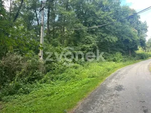 Prodej lesa, Halenkovice, 1620 m2