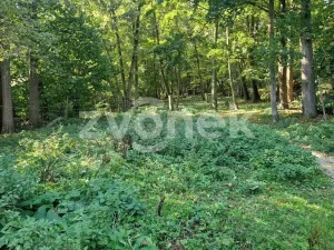 Prodej lesa, Halenkovice, 1620 m2