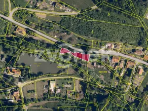 Prodej lesa, Halenkovice, 1620 m2