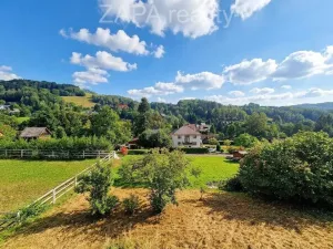Prodej vícegeneračního domu, Zlatá Olešnice, 400 m2
