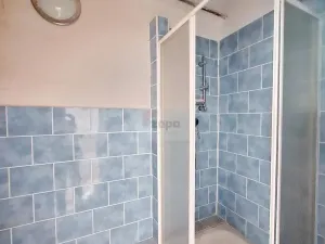 Prodej vícegeneračního domu, Zlatá Olešnice, 400 m2
