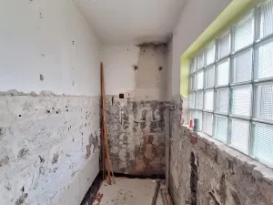 Prodej vícegeneračního domu, Zlatá Olešnice, 400 m2