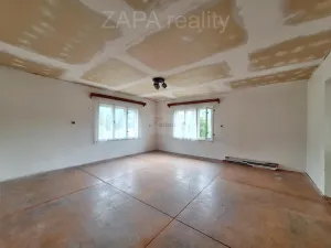 Prodej vícegeneračního domu, Zlatá Olešnice, 400 m2