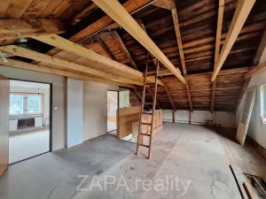 Prodej vícegeneračního domu, Zlatá Olešnice, 400 m2