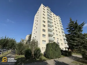 Prodej bytu 1+1, Zlín - Malenovice, třída Svobody, 37 m2