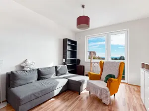 Pronájem bytu 2+kk, Plzeň, Studentská, 45 m2