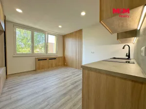Pronájem bytu 1+kk, České Budějovice - České Budějovice 5, Dobrovodská, 20 m2