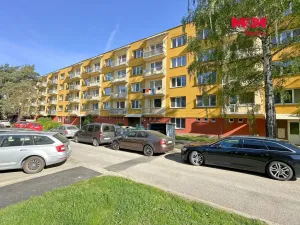 Pronájem bytu 1+kk, České Budějovice - České Budějovice 5, Dobrovodská, 20 m2