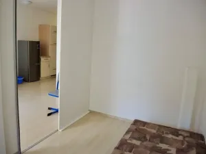 Pronájem bytu 1+kk, Praha - Michle, U plynárny, 42 m2
