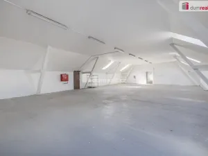 Pronájem výrobních prostor, Doksy, Václ. Plecitého, 4300 m2