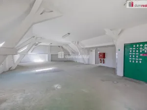 Pronájem výrobních prostor, Doksy, Václ. Plecitého, 4300 m2