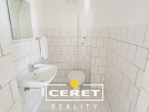 Prodej komerční nemovitosti, Žatec, Volyňských Čechů, 760 m2