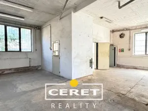 Prodej komerční nemovitosti, Žatec, nám. Prokopa Malého, 650 m2