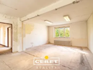 Prodej komerční nemovitosti, Žatec, nám. Prokopa Malého, 650 m2