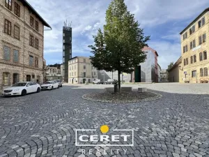 Prodej komerční nemovitosti, Žatec, nám. Prokopa Malého, 650 m2