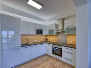 Pronájem bytu 2+kk, Plzeň, U Borských kasáren, 52 m2