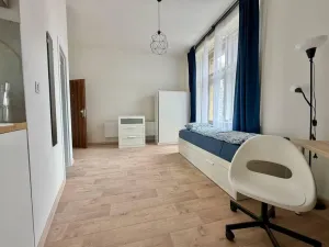 Pronájem bytu 1+kk, Praha - Nové Město, Ječná, 35 m2