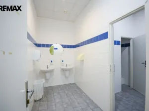 Pronájem kanceláře, Hradec Králové - Věkoše, Akademika Bedrny, 171 m2