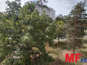 Pronájem bytu 3+1, Hradec Králové, Severní, 59 m2