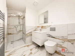Pronájem bytu 2+kk, Plzeň - Jižní Předměstí, Železná, 36 m2