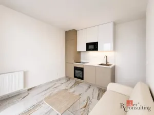 Pronájem bytu 2+kk, Plzeň - Jižní Předměstí, Železná, 36 m2