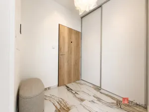 Pronájem bytu 2+kk, Plzeň - Jižní Předměstí, Železná, 36 m2