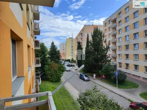 Prodej bytu 3+1, Rychnov nad Kněžnou, Na Trávníku, 72 m2
