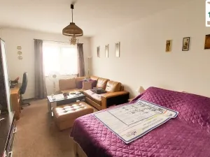 Prodej bytu 1+kk, Cheb, Havlíčkova, 46 m2