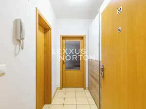 Prodej bytu 1+kk, Praha - Hloubětín, Nepelova, 29 m2