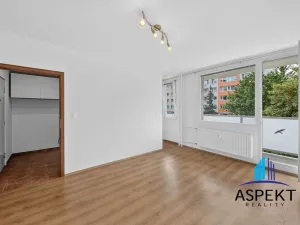 Pronájem bytu 1+kk, Praha - Podolí, Kaplická, 27 m2