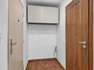 Pronájem bytu 1+kk, Praha - Podolí, Kaplická, 27 m2
