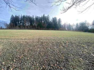 Prodej pole, Černá v Pošumaví - Bližná, 2972 m2