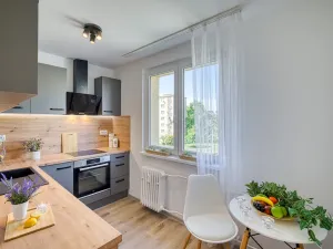 Pronájem bytu 2+1, Most, Hutnická, 51 m2
