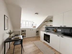 Pronájem bytu 1+kk, Praha - Nusle, Petra Rezka, 19 m2