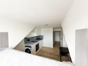 Pronájem bytu 1+kk, Praha - Nusle, Petra Rezka, 19 m2