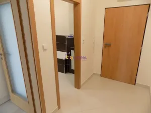 Pronájem bytu 1+kk, Praha - Hlubočepy, Vítové, 42 m2