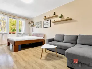 Prodej bytu 2+1, Ostrov, Masarykova, 55 m2
