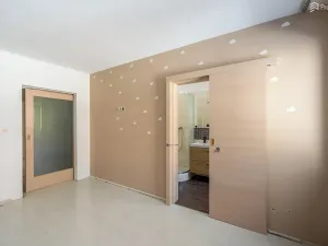 Prodej bytu 2+kk, Mokrá-Horákov, 102 m2