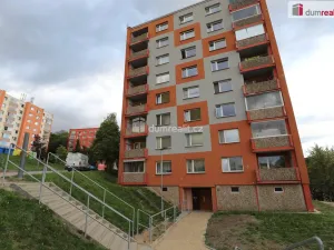 Pronájem bytu 1+1, Cheb, Dvořákova, 36 m2