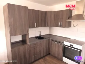 Pronájem bytu 1+kk, Ostrava - Krásné Pole, Družební, 41 m2