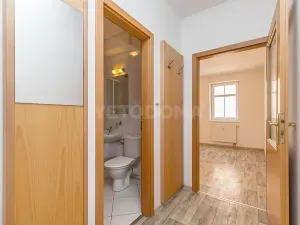 Pronájem bytu 1+1, Blovice, Americká, 37 m2